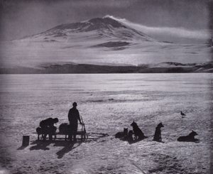 Slede og hunder, med Mount Erebus i bakgrunnen (s/hvitt bilde) av Herbert Ponting