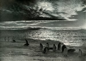 Midnattssolen i McMurdo Sound, c19101913, 1913 av Herbert Ponting