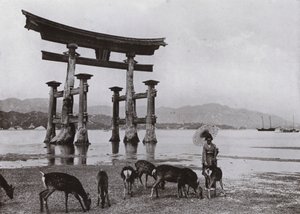 The Old Torii at Miyajima (s/hvitt bilde) av Herbert Ponting