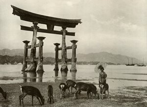 Den gamle Torii ved Miyajima, 1910. av Herbert Ponting