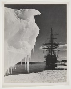 Terra Nova ved isfoten (bromidtrykk) av Herbert Ponting