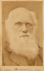 Portrett av Charles Darwin 1809-1882, 1881.