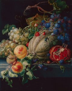 Fruktstilleben på en steinhylle (svart bly, akvarell og kroppsfarge på vellum)