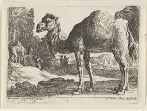 kameler Landskap med dyr (serietittel) av Herman van Swanevelt