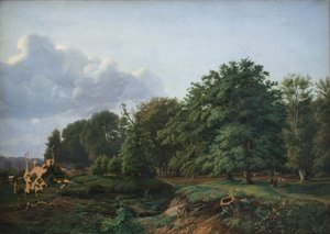 En skog nær Hellebæk på Nordsjælland. Ettermiddag.