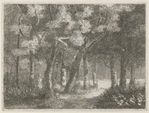 Hunter og hunden hans i skogen