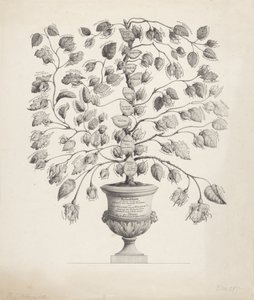 Familietre til House of Orange-Nassau av Hermanus Johannes Abbring