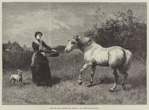For ikke å bli fanget av agner av Heywood Hardy