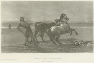 Ulysses later som galskap (gravyr)
