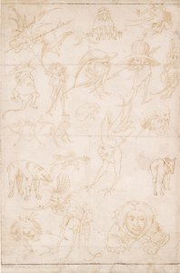 Groteske studier, c1500-1520 av Hieronymus Bosch