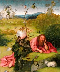 Døperen Johannes i ørkenen, slutten av 1400-tallet. av Hieronymus Bosch