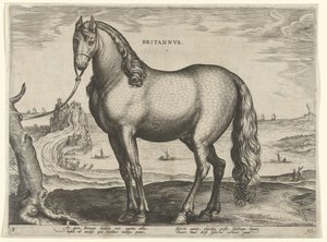 Hest fra Bretagne (Brittanus) Britannvs (tittel på objekt) Hesteraser fra Royal Stables of Don Juan of Austria (serietittel) Equile Ioannis Austriaci Caroli (serietittel) av Hieronymus Wierix