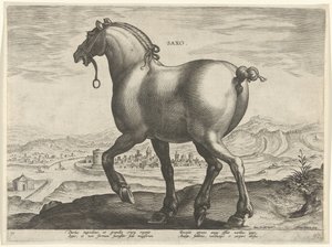 Hest fra Sachsen Saxo (tittel på objekt) Hesteraser fra den kongelige stallen til Don Juan av Østerrike (serietittel) Equile Ioannis Austriaci Caroli (serietittel)