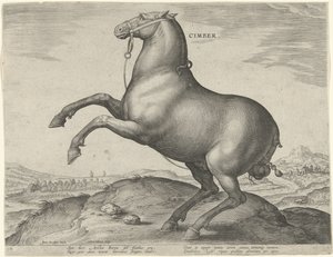 Hest fra Scythia Cimber (tittel på objekt) Hesteraser fra Royal Stables of Don Juan of Austria (serietittel) Equile Ioannis Austriaci Caroli (serietittel) av Hieronymus Wierix