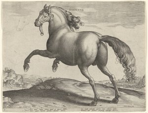 Hest fra Spania (Hispanus Alter) Hispanvs (tittel på objekt) Hesteraser fra den kongelige stallen til Don Juan av Østerrike (serietittel) Equile Ioannis Austriaci Caroli (serietittel) av Hieronymus Wierix