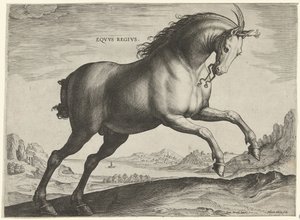 Hest av rasen Equus Regius (den kongelige) Eqvvs Regivs (tittel på objekt) Hesteraser fra Royal Stables of Don Juan of Austria (serietittel) Equile Ioannis Austriaci Caroli (serietittel)