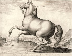 Gallicus fra serien Hester fra stallen til Don Juan av Østerrike (gravering på vev)