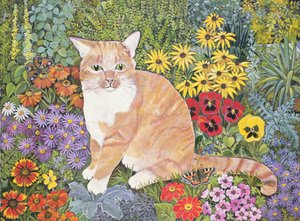 The Carpenters Cat