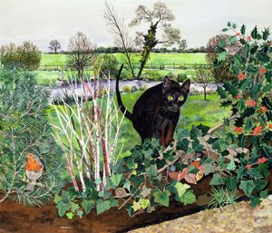 Vinterkatt