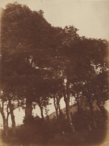 [Feltet ved Bonaly] av Hill and Adamson