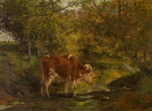  av Hippolyte Boulenger