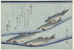 Ørret av Hiroshige (I) , Utagawa