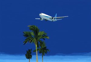Fly og palmetre