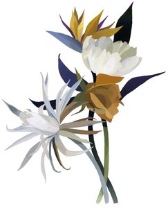 En imaginær blomst med hvit bunn. av Hiroyuki Izutsu