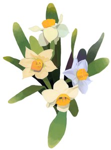 Narcissus av Hiroyuki Izutsu