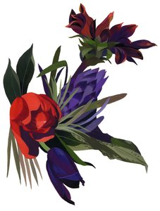 Tulipaner og georginer.