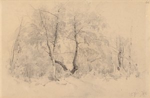  av Hjalmar Munsterhjelm