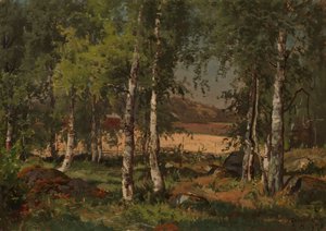  av Hjalmar Munsterhjelm