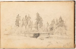  av Hjalmar Munsterhjelm