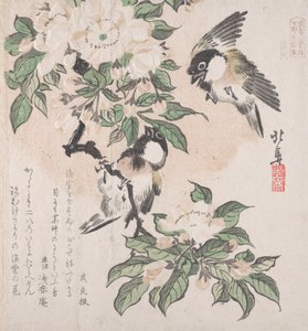 Spring Rain Collection Harusame shu, vol. 3: Myrmeis og krabbeepleblomster, ca. ..., ca. 1820.