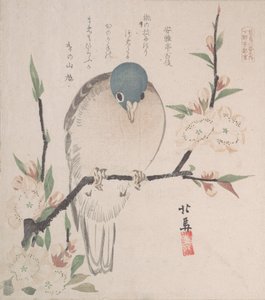 Spring Rain Collection Harusame shu, vol. 3: Fjelldue og ferskenblomster, ca. 1820., ca. 1820.