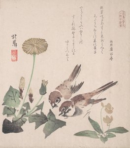 Spring Rain Collection Harusame shu, vol. 3: Spurver og løvetann, ca. 1820., ca. 1820.