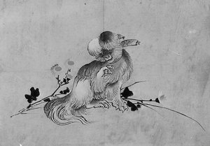 Pekingeser, 1800-tallet.