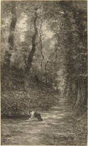  av Homer Dodge Martin