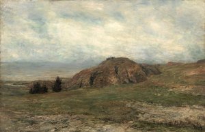 Wild Coast, Newport, 1889.