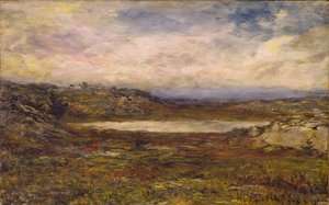 Wild Coast, Newport, ca. 1885-1895.