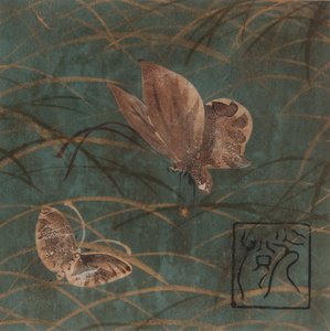 Sommerfugler og gress, Edo-perioden, tidlig på 1600-tallet.