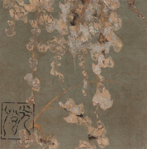 Blåregn blomstrer, Edo-perioden, tidlig på 1600-tallet.