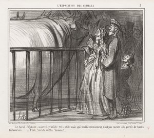 Utstilling av dyr: Pl. 5, Ku-elefanten, ny variant.... av Honoré Daumier