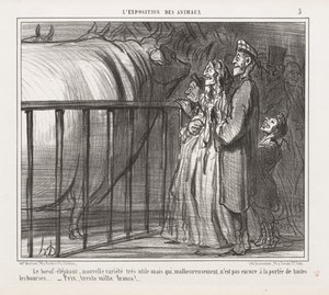 Utstilling av dyr: Ku-elefanten, ny variant av Honoré Daumier