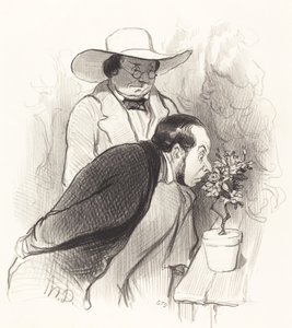 En botanikers triumf av Honoré Daumier