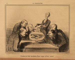 Fiskeoppdrett nr. 1: Undersøkelse av det incestøse avkommet etter en karpe og en lærd. av Honoré Daumier