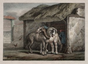 Gårdshest av Emile Jean Horace Vernet