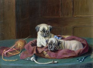 Mops valper i en kurv (panel)