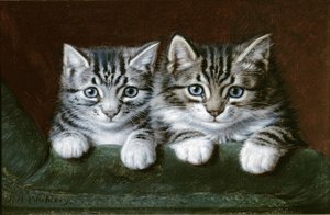To Tabby kattunger (olje på lerret)
