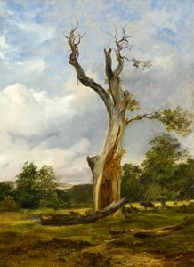 The Blasted Tree, ca. 1838 (olje på lerret)